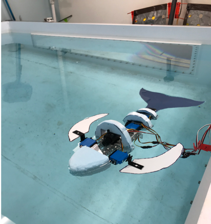 ROV detail